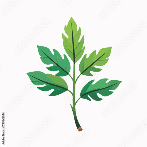 Soursop Leaf Essence, herbal leaves icon for wellness product promotion