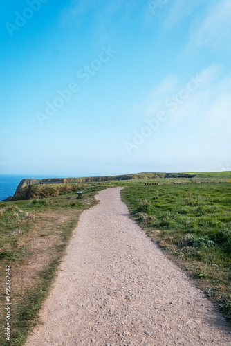 Scenic coastal path on green cliffs