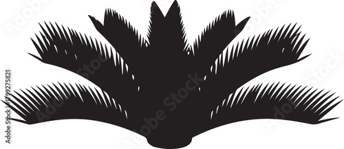 Black palm frond silhouette isolated on white background vector graphic