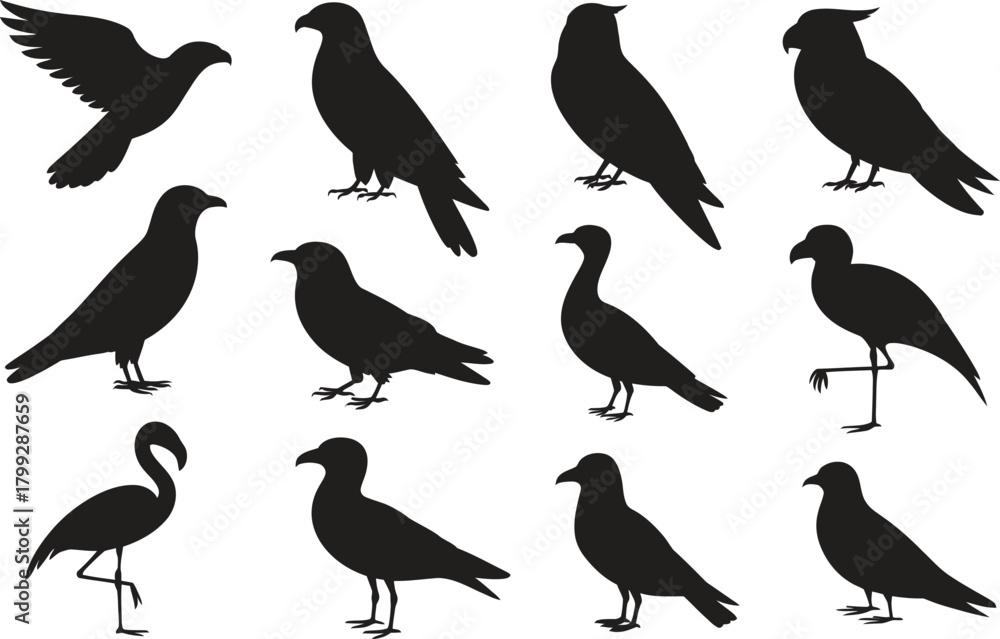 Naklejka premium Bird Silhouette Vector Set – Flying, Standing, Perched Bird Shapes Collection