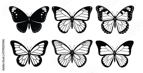 Six detailed black and white line art illustrations of different butterfly species with open wings