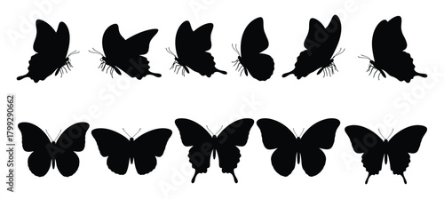 Collection of silhouetted butterflies in various poses and stages of flight against a white background