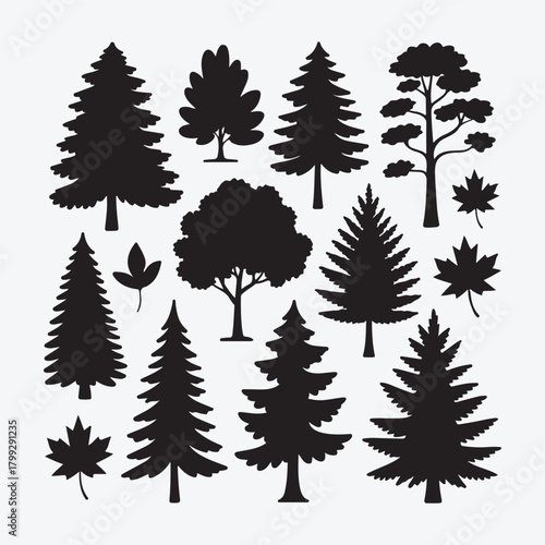 Set of vector silhouettes of diverse nature trees including pine, palm, oak, and birch for forest and autumn season pattern illustration design