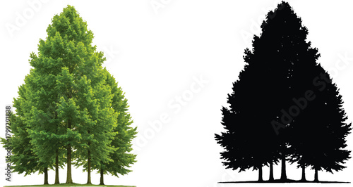  characterized by its lush green leaves, which symbolize , growth, and the beauty of nature. This tree likely represents health, abundance, and the flourishing aspects of the environment.