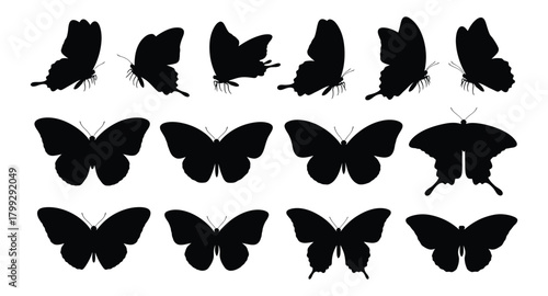 Collection of diverse black butterfly silhouettes in various poses and wing shapes on a white background