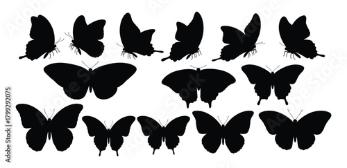 Collection of diverse black butterfly silhouettes with spread wings in various poses and sizes