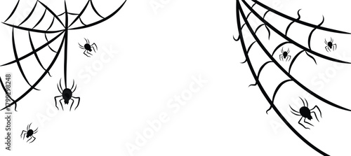 Halloween spider web and spiders isolated on white background. Black spider and torn web. Scary spiderweb.