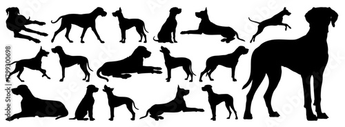 Great Dane Dog Silhouette Vector Set, Various Poses, Transparent Background, Pet and Canine Clipart Collection