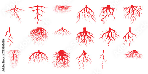 Collection of Red Root Systems and Vein Networks on White Background