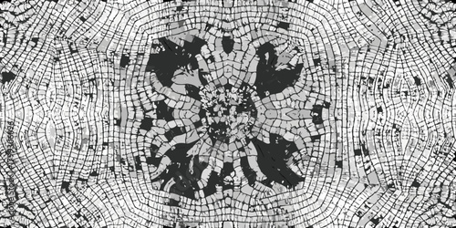 Abstract symmetrical black and white pattern resembling a fossilized cell structure or organic texture