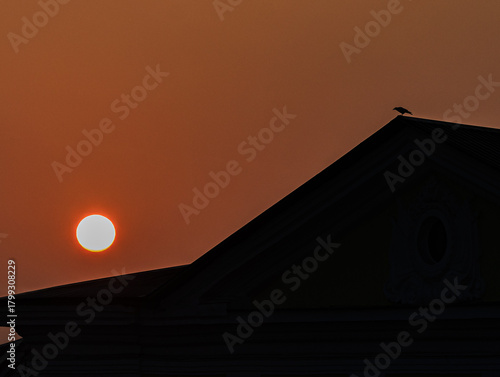A raven sits on the roof ridge of a building and looks down at the sun rising in the fog.
