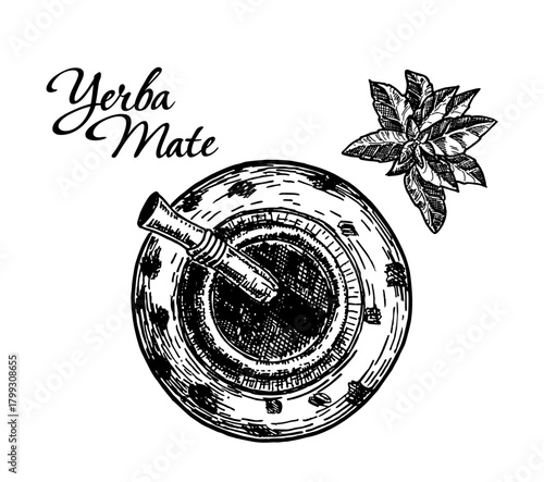 Traditional yerba mate tea sketch vector illustration. Mate tea leaves and traditional calabash. Hand drawn vector illustration isolated on white backgroundю Collection of drinks concept icon.