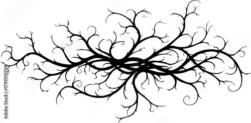 Elegant black organic vine flourish creates a dynamic natural border design perfect for decorative accents and artistic projects