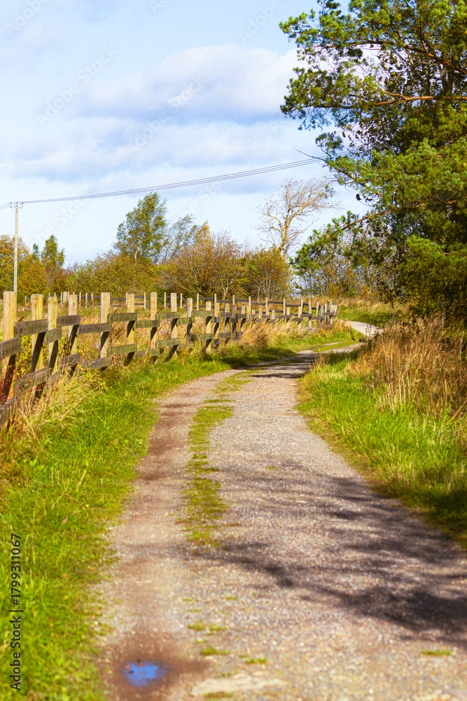 Fototapeta premium Country Lane Bordered by a Wooden Post Fence and Grassland. Unpaved Gravel Track Winding Through Rural Agricultural Area with Vegetation, Trees and Utility Poles on a Sunny Cloudy Day
