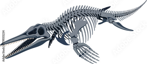 Ancient Marine Reptile Skeleton Illustration for Educational Purposes