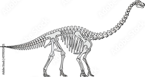Dinosaur Skeleton A detailed illustration of prehistoric creatures bone structure
