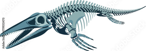 Dinosaur Fossil Skeleton Ancient Sea Creature Illustration