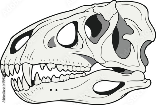 Dinosaur Skull Illustration A Detailed Anatomical Study