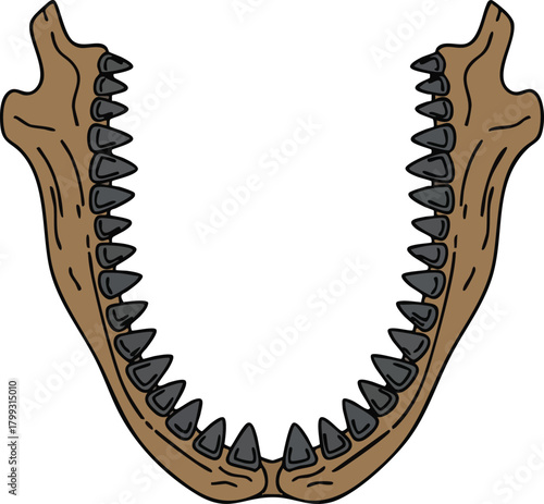 Illustration of a Dinosaur Jaw Bone with Sharp Teeth