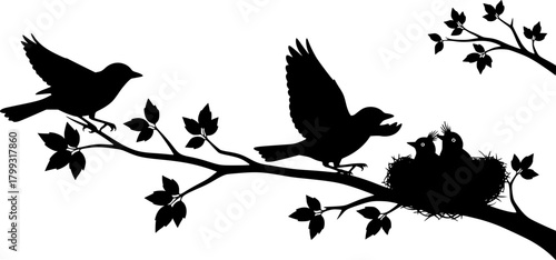 Bird silhouettes perched on branches, flying bird, baby birds in nest, nature wildlife scene, black vector illustration, isolated on white background
