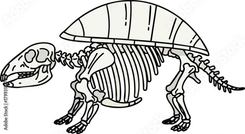 Glyptodon Skeleton Illustration Prehistoric Armored Giant