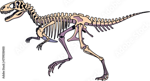 Dinosaur Skeleton Illustration Prehistoric Anatomy