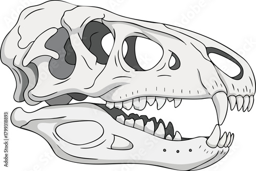 Dinosaur Skull Vector Illustration with Detailed Anatomy