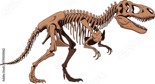 Fossilized Tyrannosaur Skeletal Anatomy of a Prehistoric Predator