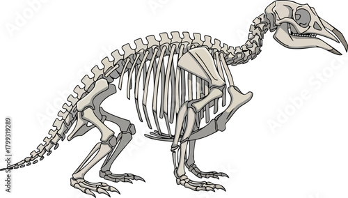 Skeleton of a Dinosaur A Detailed Anatomical Illustration