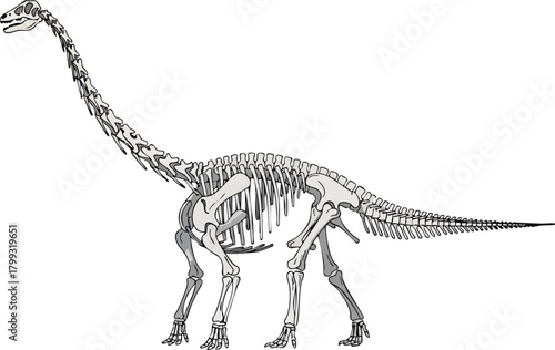 Majestic Dinosaur Skeleton Illustration A Glimpse into Prehistory