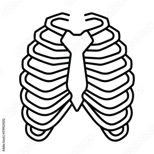 Simple line drawing illustration of the human rib cage and sternum showing anatomical structure