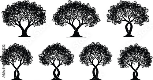 WebIllustration of collection of trees with intertwined trunks isolated on a set of seven trees with different trunk shapes, perfect for illustrating nature and growth
