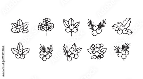 Collection of hand drawn berry and leaf sprig illustrations silhouette