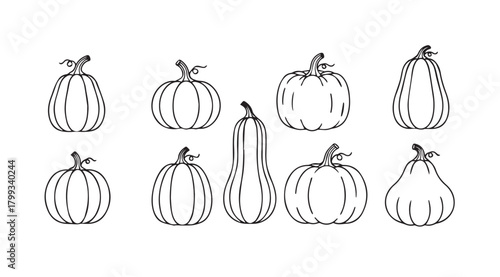 Collection of hand drawn pumpkin and squash silhouettes for autumn harvest