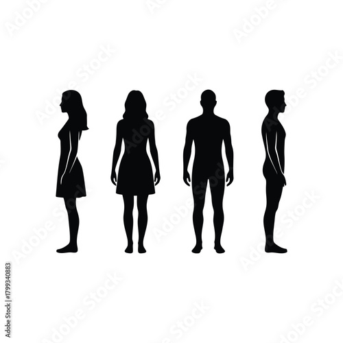 Human body silhouettes showing spine and good posture