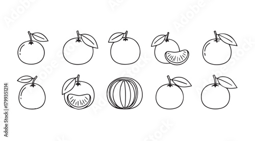 Collection of hand drawn orange fruit and slices silhouette