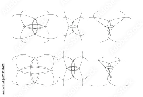 Harmonic Parametric Curve Pattern – Abstract Symmetrical Vector Design with Flowing Geometric Lines