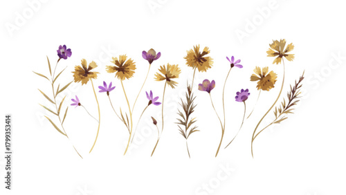 A delicate watercolor painting of wildflowers, isolated on, showcasing the beauty of nature in a soft and artistic style