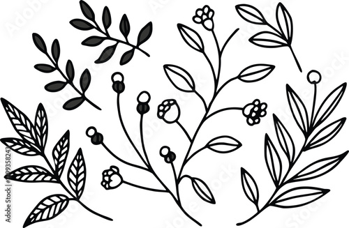 Botanical hand-drawn branches with leaves and buds isolated on white background