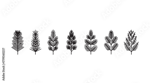 Collection of detailed wheat stalk silhouettes against a white background