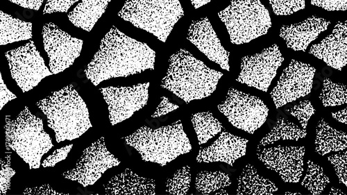 Abstract cracks in a bold black and white texture. Graphic illustration featuring a rugged and dry surface in a modern vector style.