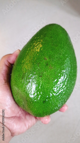 Hand holding a large, smooth green avocado