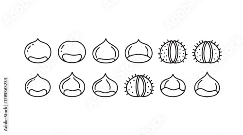 Collection of hand drawn chestnut and seed silhouettes in outline style