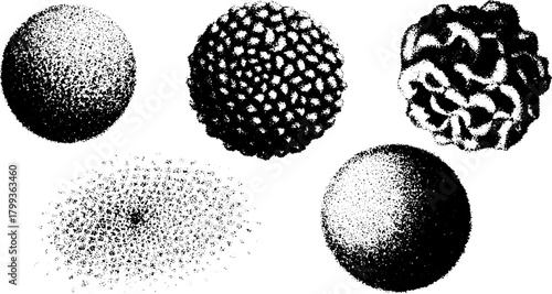Various spherical shapes with unique textures and patterns. This set features black and white designs in a vector illustration style.