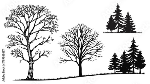 Illustration of bare trees and evergreen trees in a forest landscape silhouette against white background vreated with genrated ai