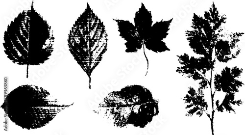 Black silhouette leaves in a botanical set. Simple vector illustration representing nature and ecological elements in design.