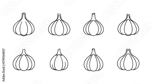 Eight hand drawn outline illustrations of garlic cloves silhouette