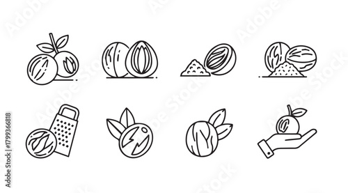 Collection of nutmeg icons in a simple line art silhouette style