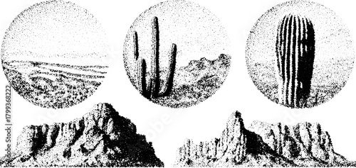 Desert landscape with circular cactus and mountain illustrations. Black and white vector illustration featuring dotted textures and geometric shapes.