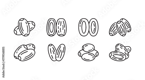 Collection of hand drawn date fruit illustrations in silhouette style